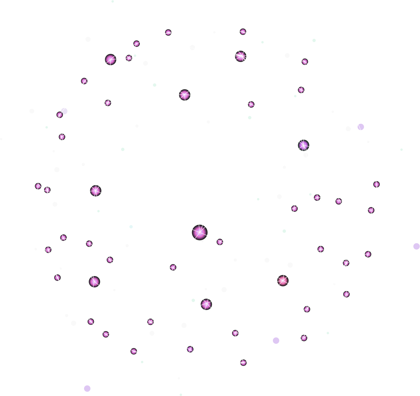 Banner network image